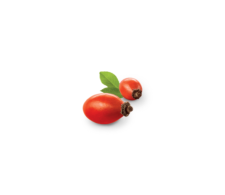 Rosehip
